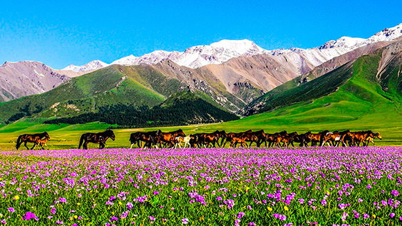 8 Days North Xinjiang Tour with Kanas