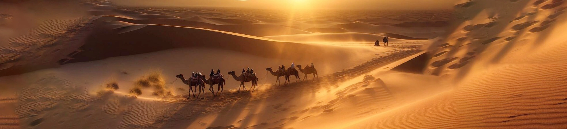 Silk Road Tours